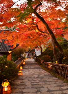 九州旅游攻略之【佐贺红叶之旅大兴善寺】