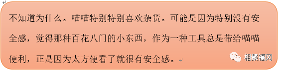 为什么只有日本的杂货铺成为了一种精品时尚的代名词？