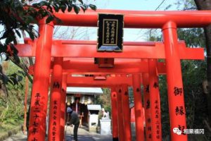 【九州自由行之福冈】饱览市区的美景！福冈最古老的神社——“爱宕神社”