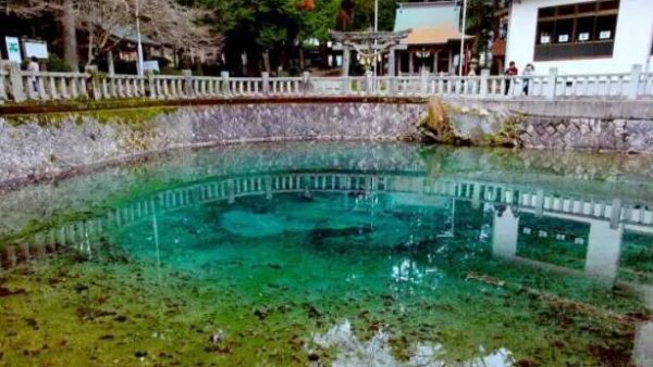 【日本自由行之山口县】私房景点，一房钴蓝的美界