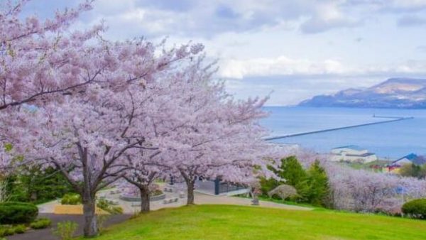 旅行推荐｜看图学习去北海道前必看的穿衣指导