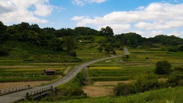 想去奈良的理由除了鹿和古寺，还有……