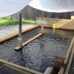 【九州自由行之大分】名水与温泉之乡，一篇看尽「竹田市」的7大魅力