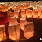 日本福冈博多的专属秋季浪漫：点亮城市的博多灯明