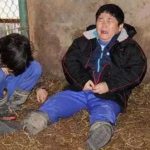 日本人的冷血教育：让小学生围观现场杀鲸