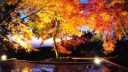 【日本九州自由行】秋意渐浓，九州这些经典红叶观赏地你去过了吗？