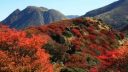 日本九州｜在大分九重町国立公园滑雪看四季绝景