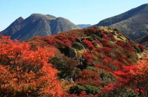日本九州｜在大分九重町国立公园滑雪看四季绝景